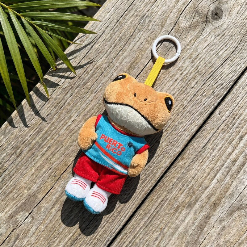 Sapo Concho