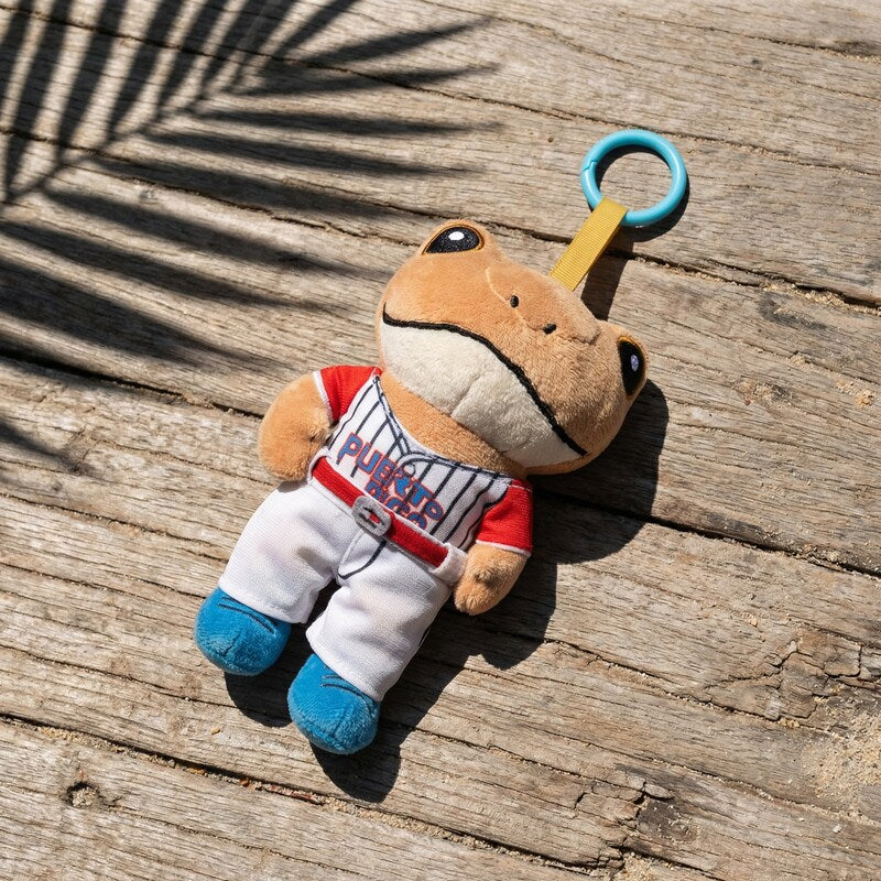 Sapo Concho